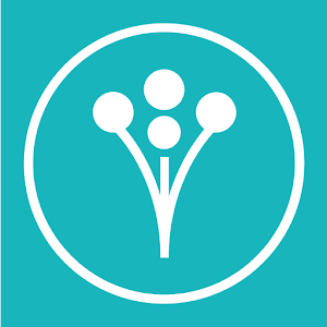 WeddingWire logo